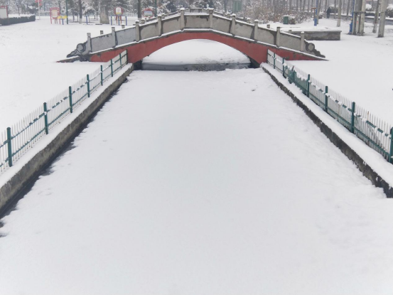 河北威县：公园雪景美如画_fororder_河北威县公园雪景美如画84