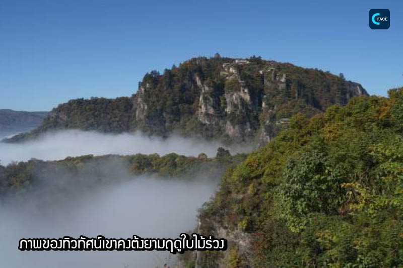 图片默认标题_fororder_2019102209(3)