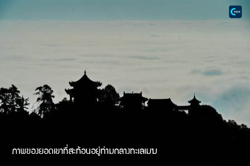 图片默认标题_fororder_2019102209(2)