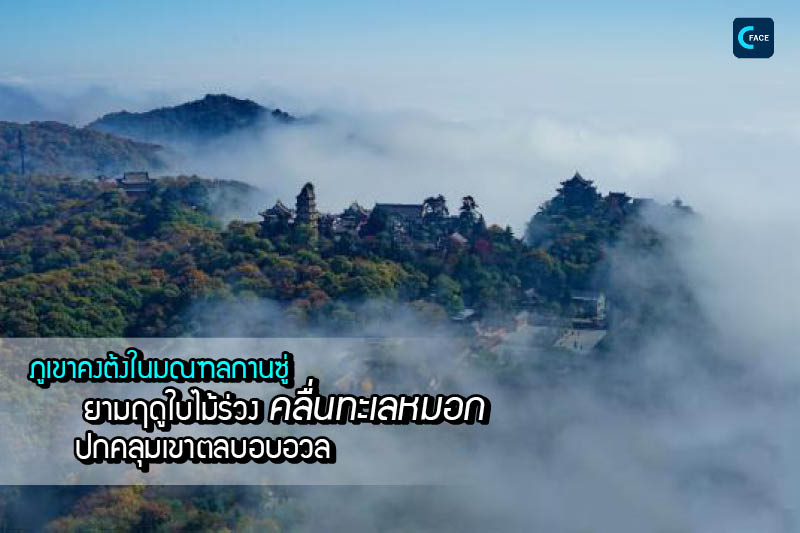 图片默认标题_fororder_2019102209(1)