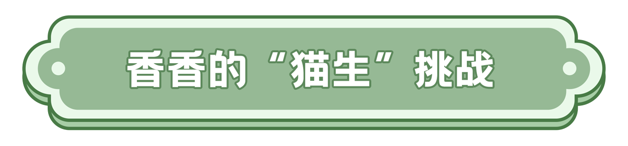 总台周末看点丨文旅热+放寒假，你想好去哪了吗？