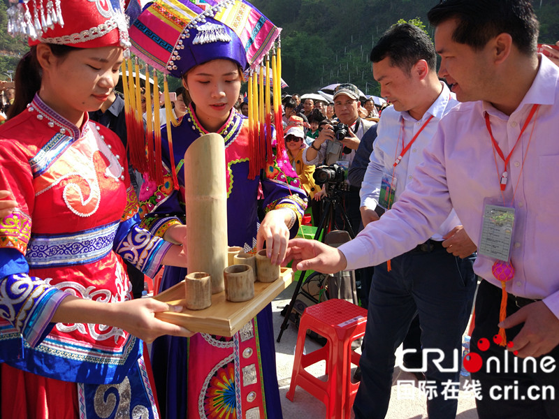 【唐已審】【原創】【河池】【八桂大地-圖文】【移動端】傳承民俗文化 大化“三月三”熱鬧紛呈