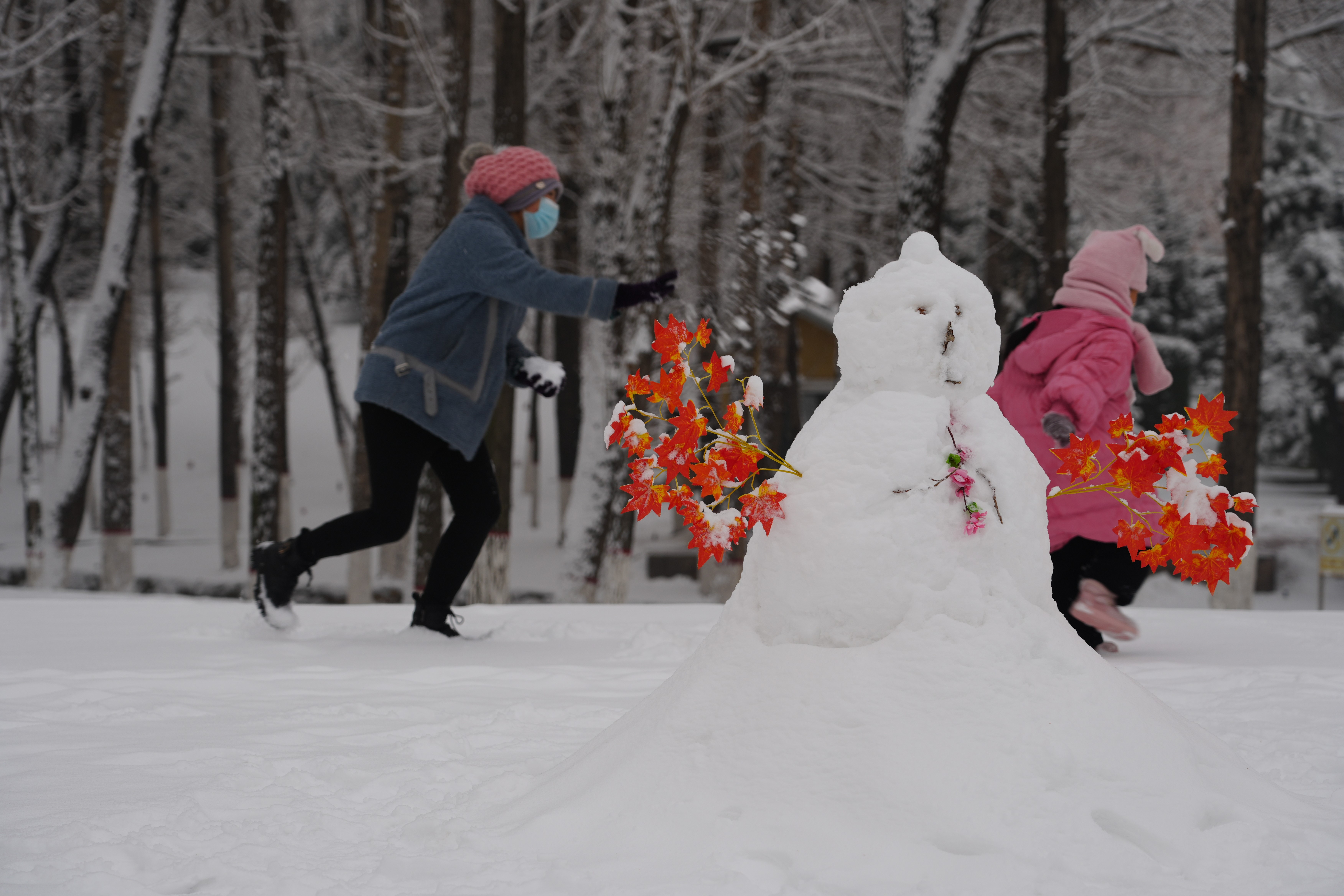 内蒙古准格尔旗： 北疆纷飞雪_fororder_555