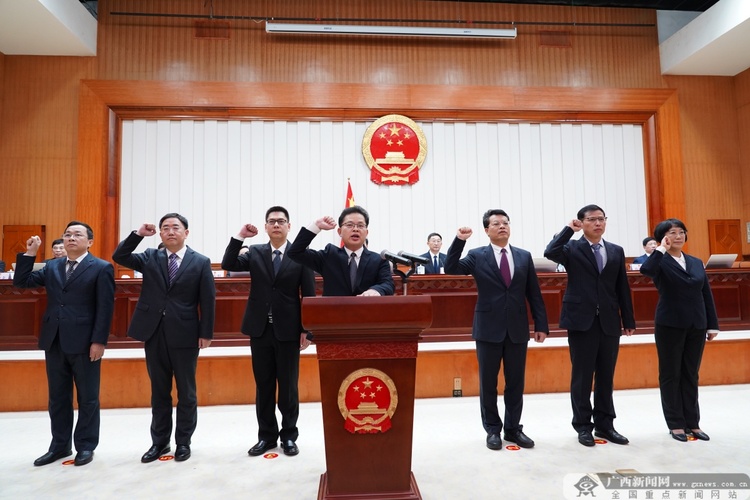 廣西壯族自治區人大常委會舉行頒發任命書和憲法宣誓儀式