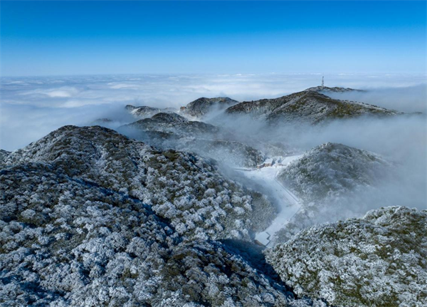 重庆金佛山迎来2024年首场降雪_fororder_图片1