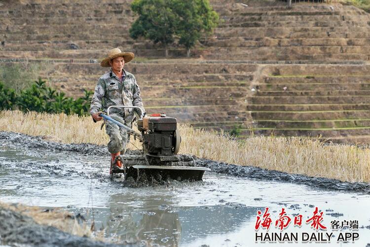 五指山牙胡梯田春耕忙_fororder_2c925c678cfae9d9018d367275510d4a