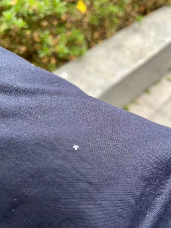 （转载）刚刚！成都市区下雪了！四川各地气温还要降_fororder_未标题-1