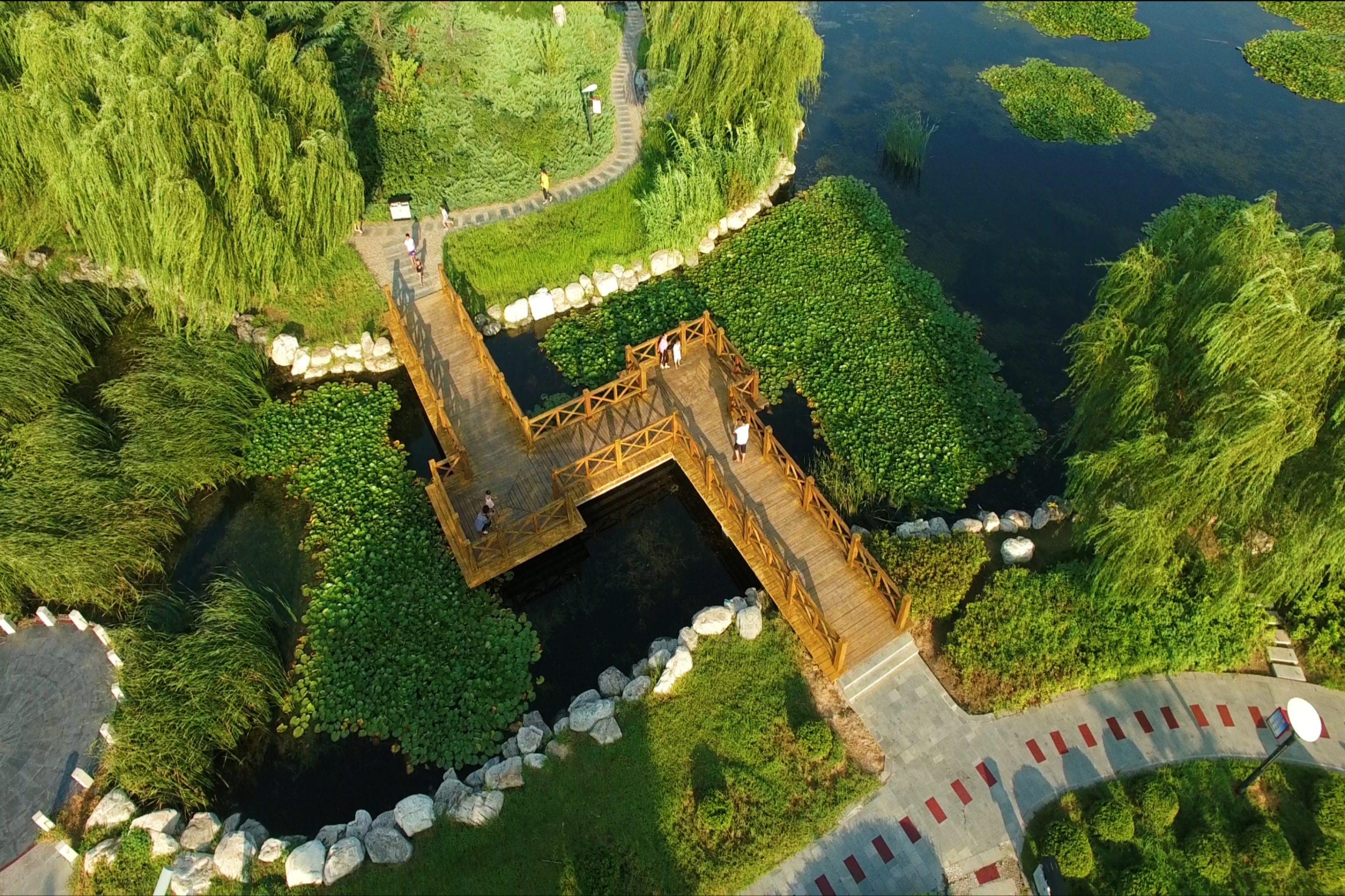 图片默认标题_fororder_004