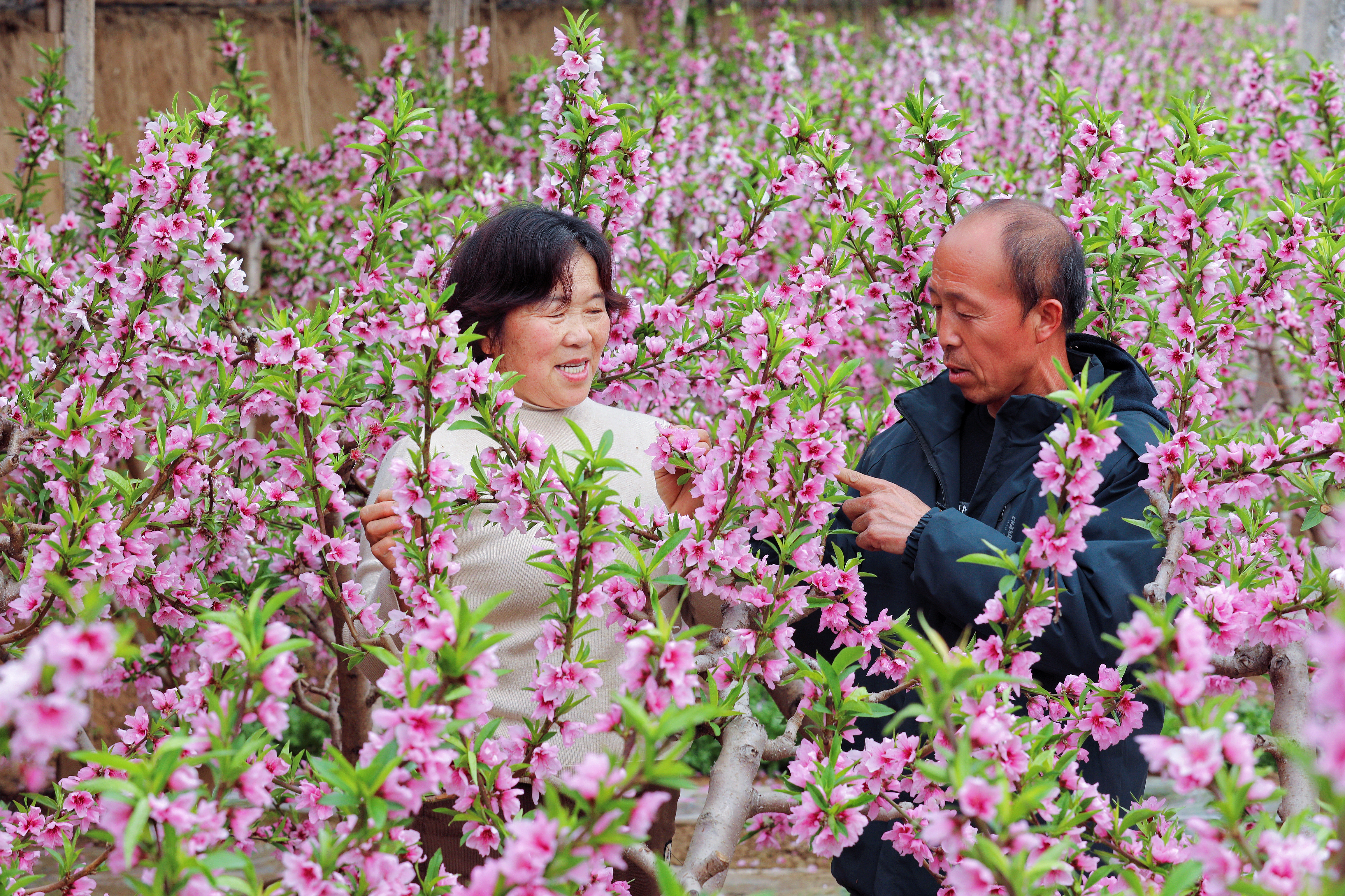 图片默认标题_fororder_3