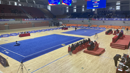 湖南新宁队在全省青少年武术锦标赛中喜获佳绩！