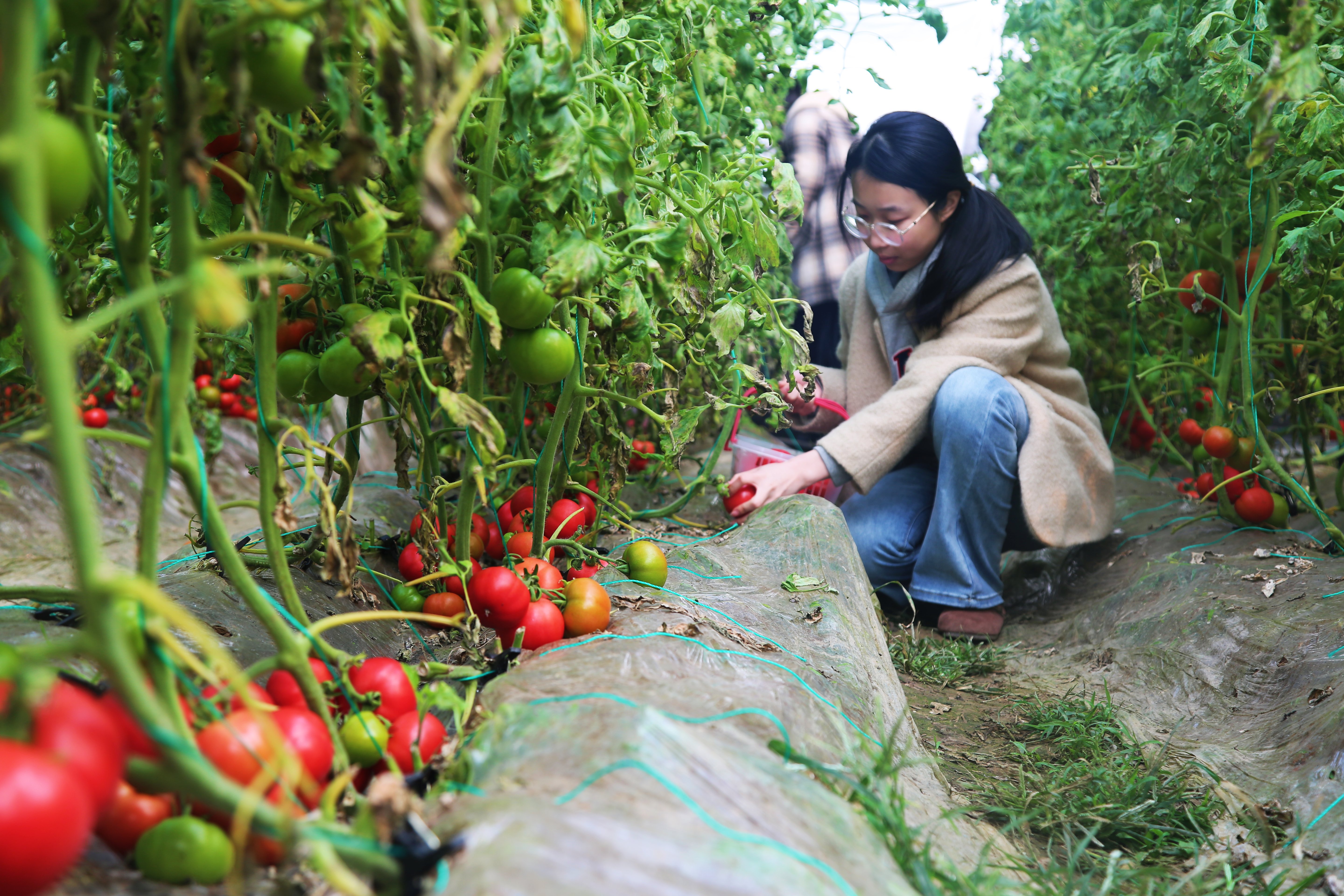 图片默认标题_fororder_001
