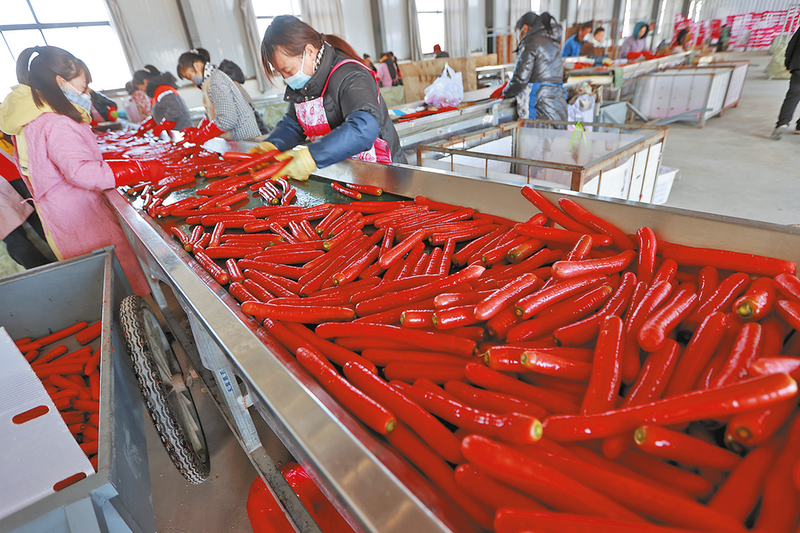 好果子千里飘香 渭南市优质农产品走向国际_fororder_图片1