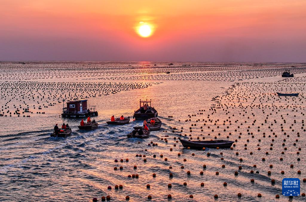 山東榮成：海上“春耕”全面開展