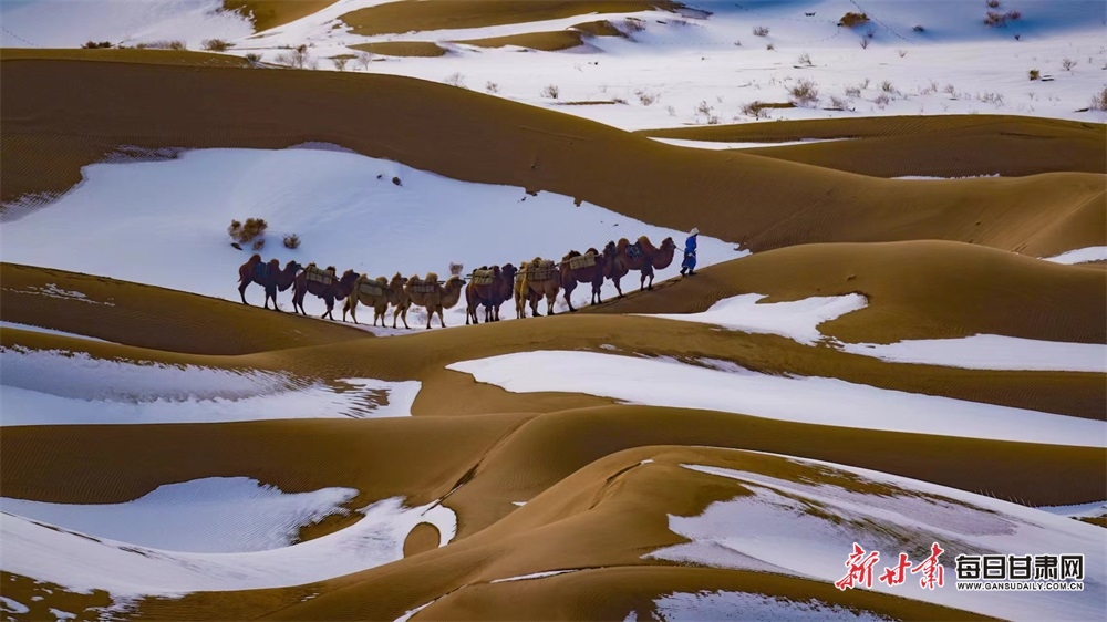 【大美甘肃】雪落巴丹吉林沙漠好看得不一般_fororder_7