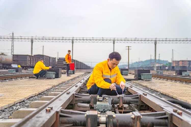 广西铁路部门检修信号设备 为春运保驾护航