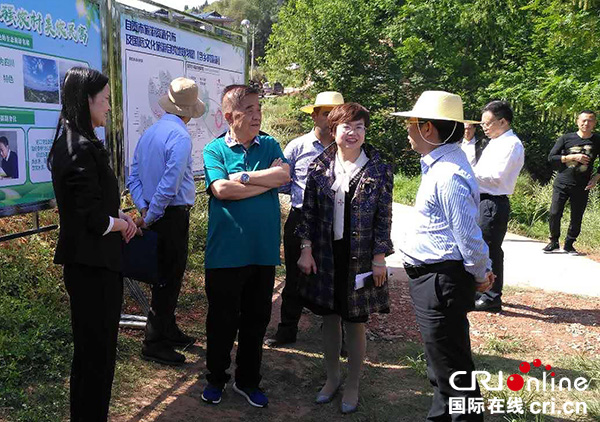 自贡市委常委,副市长李红强,市旅发委主任邓玲,富顺县委书记邹登权及