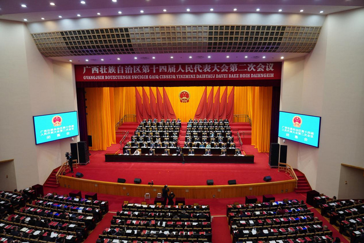 廣西壯族自治區第十四屆人民代表大會第二次會議閉幕_fororder_圖片9