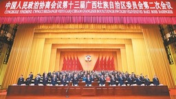 广西壮族自治区政协十三届二次会议胜利闭幕