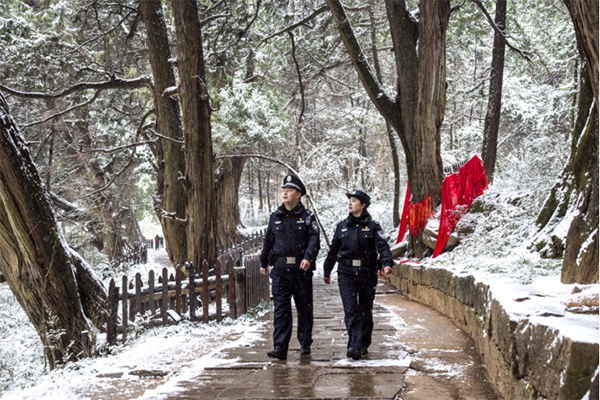 图集｜世界奇观翠云廊 银装素裹分外美_fororder_未标题-9