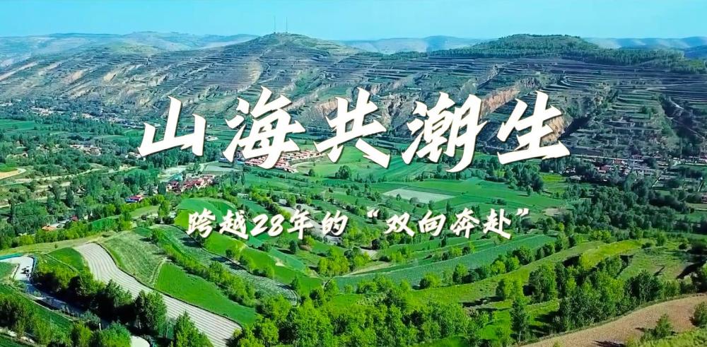 新春走基層｜山海共潮生——跨越28年的“雙向奔赴”