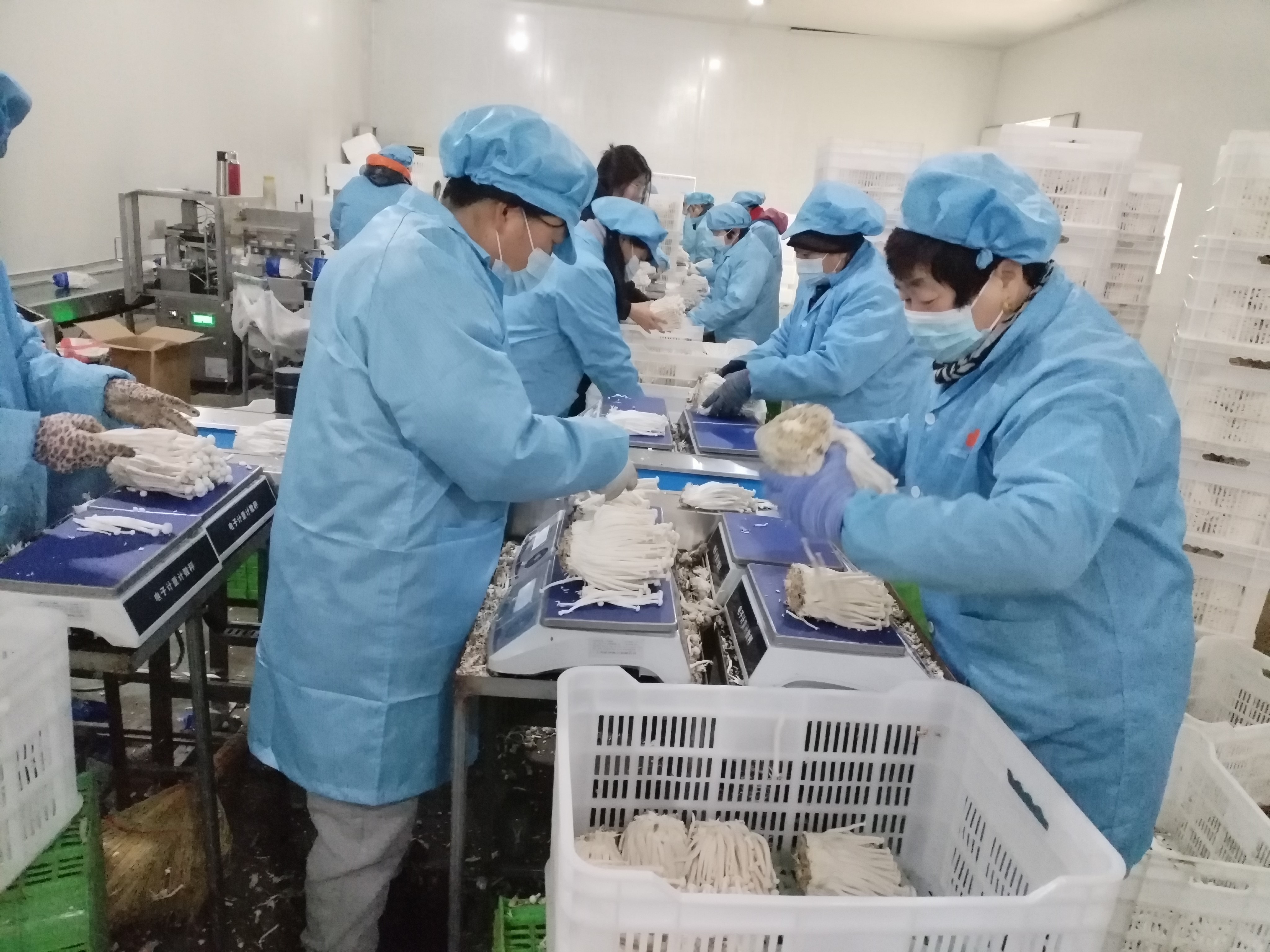 图片默认标题_fororder_2