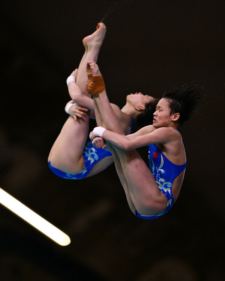 跳水世界杯蒙特利尔站中国队再揽四金