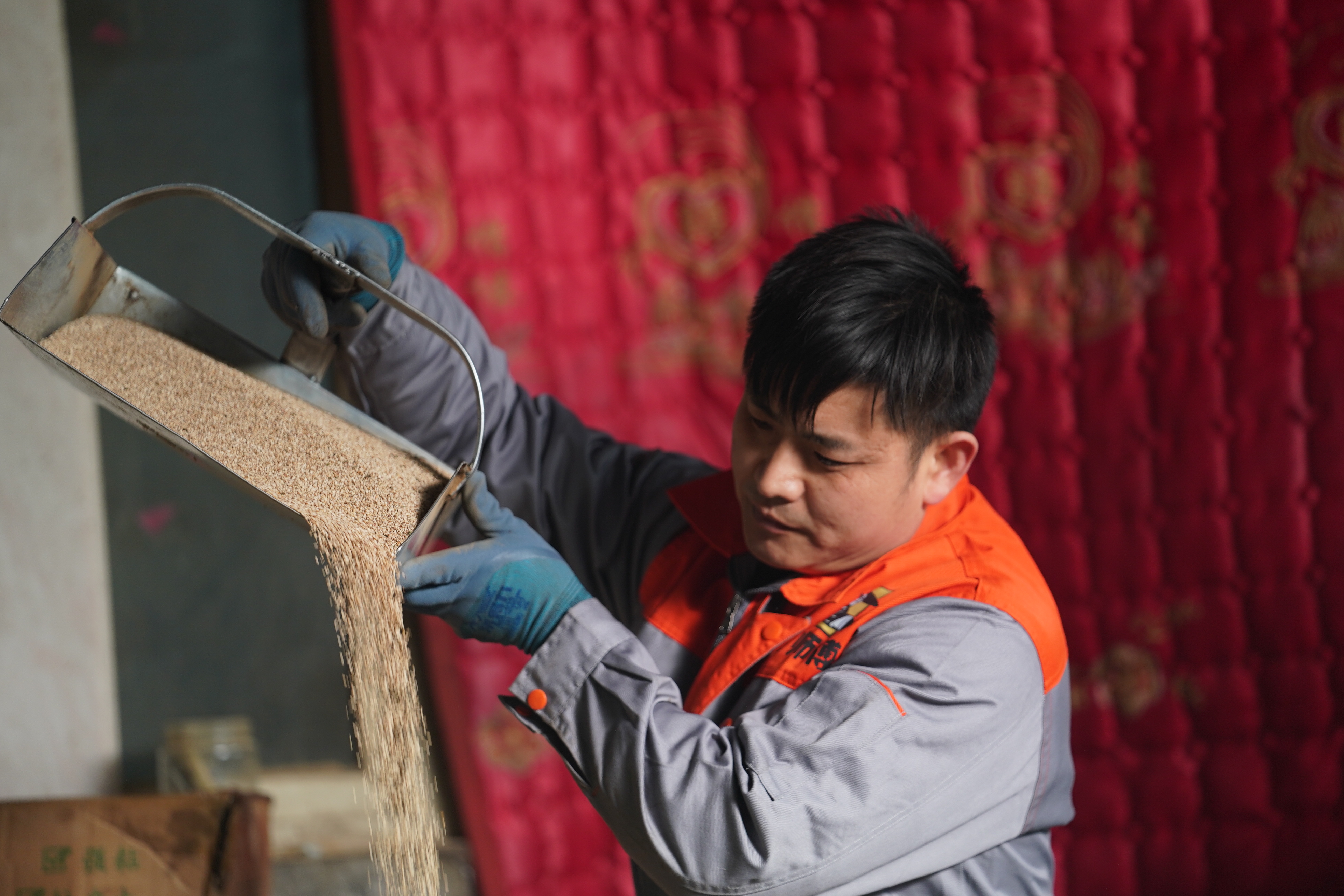 河北邢台：庭院经济+订单销售 助力农户促增收_fororder_1.JPG