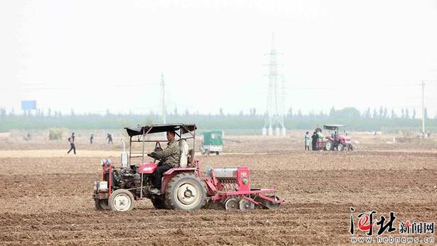 任县：金秋时节农事忙