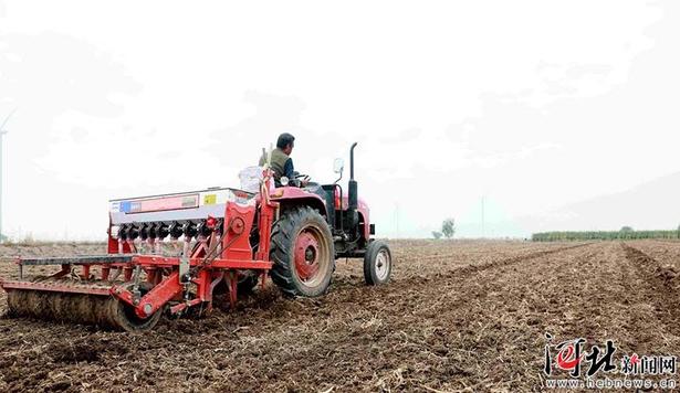 任县：金秋时节农事忙
