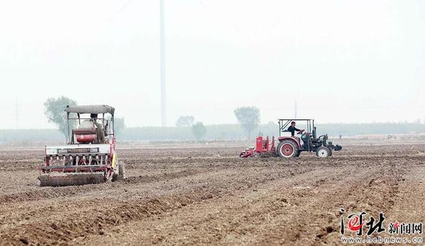 任县：金秋时节农事忙