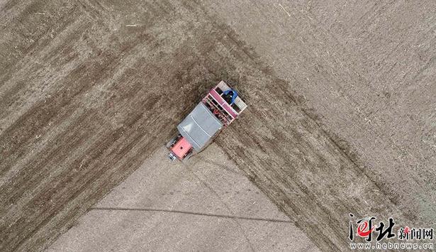 任县：金秋时节农事忙
