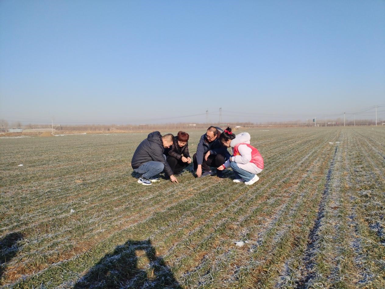 图片默认标题_fororder_6