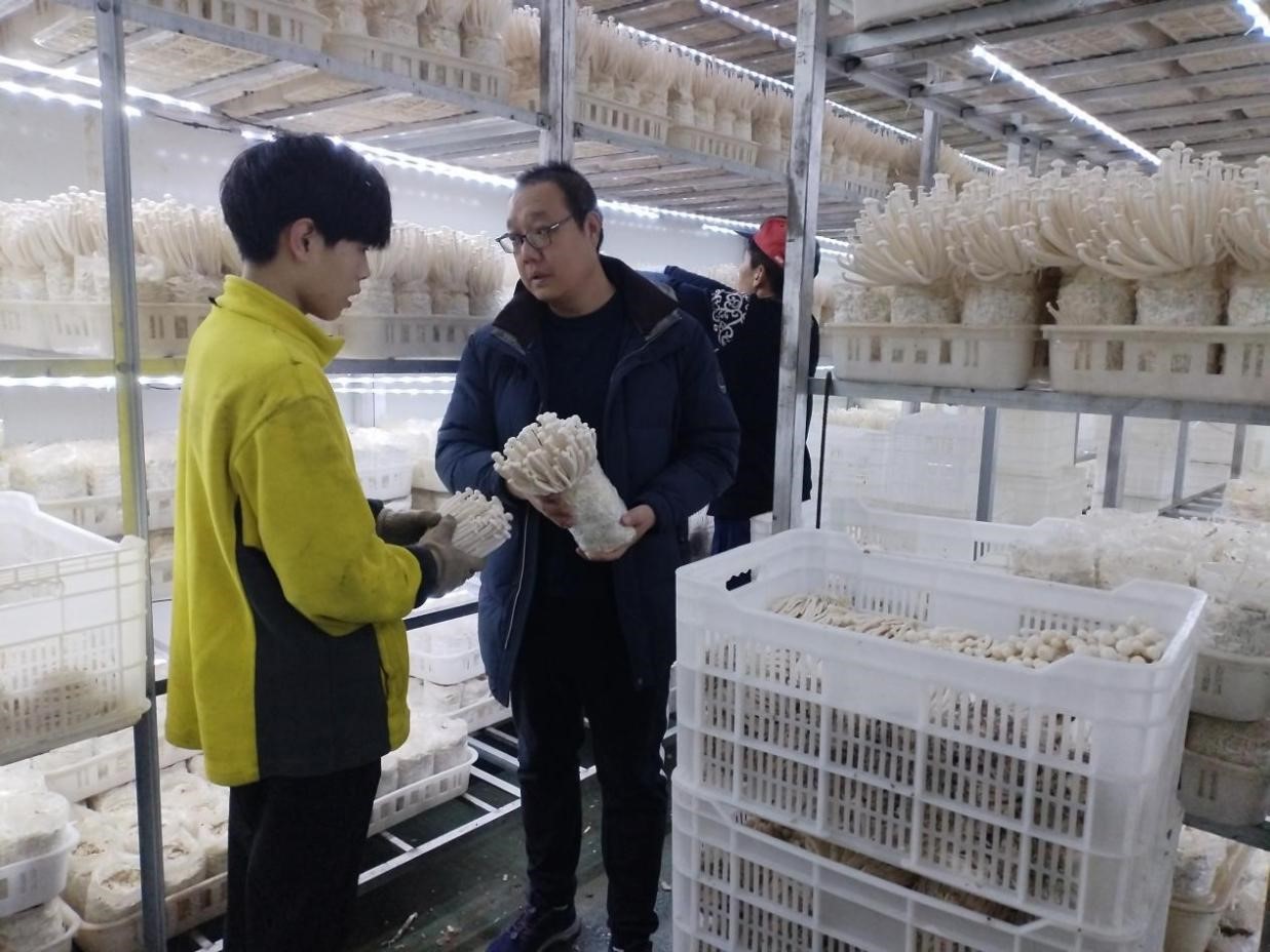 图片默认标题_fororder_4