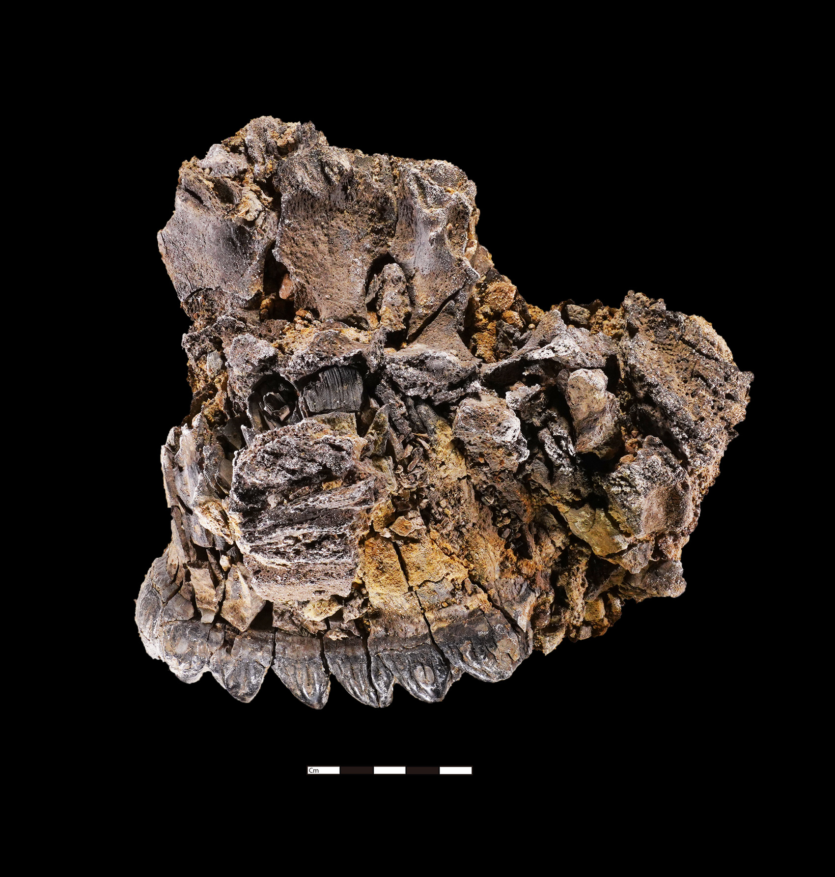 （转载）揭秘：资阳濛溪河遗址为何入选中国六大考古新发现