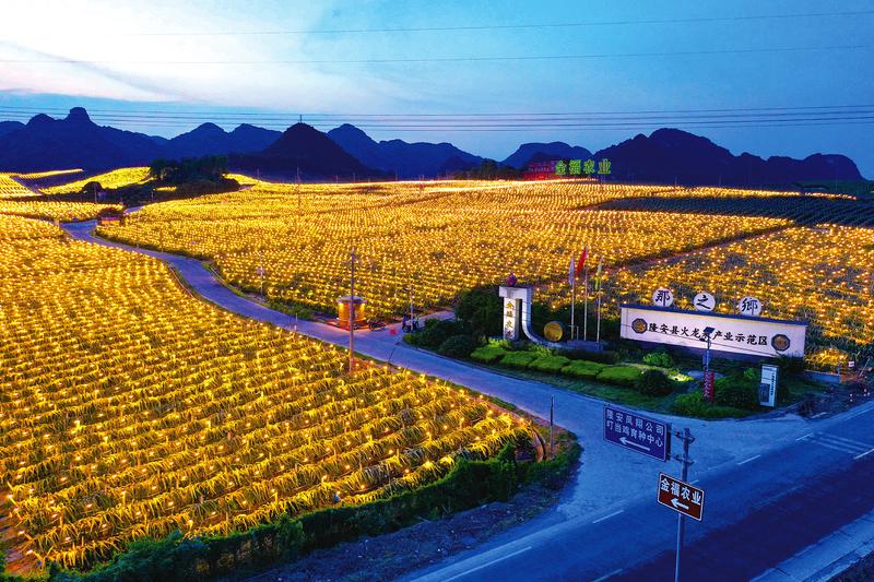 南宁市发布广西首个区域品牌名录“