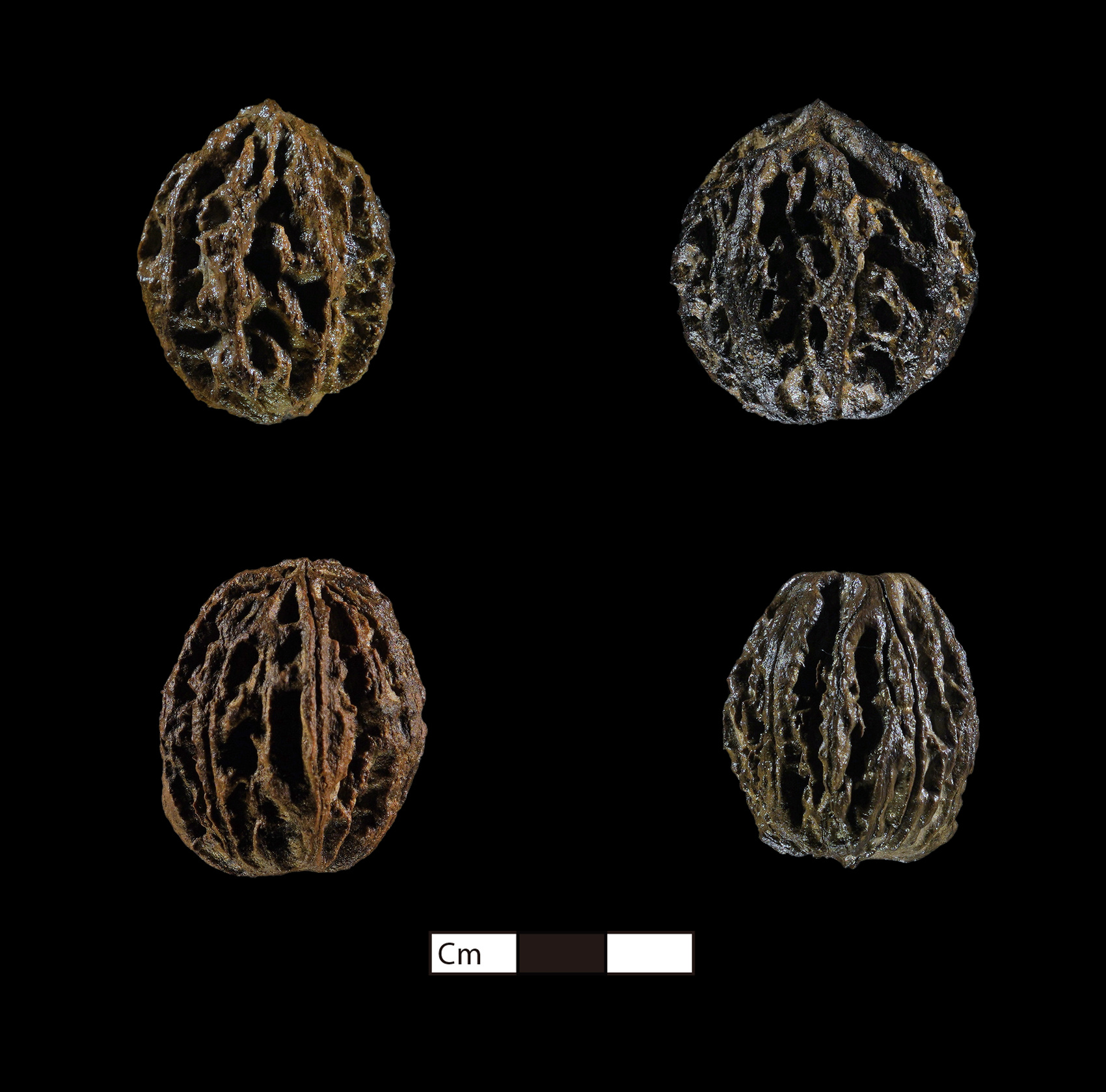 （转载）揭秘：资阳濛溪河遗址为何入选中国六大考古新发现