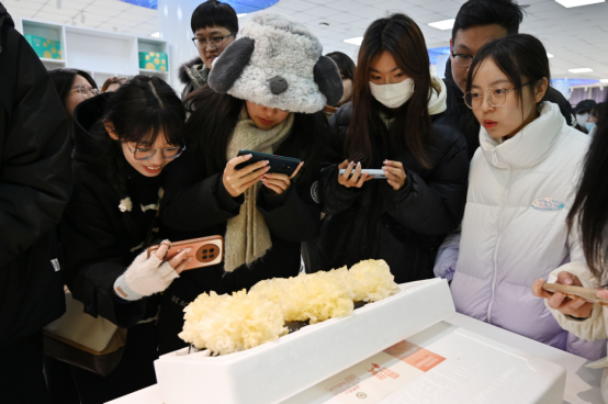 河北鹽山：莘莘學子桑梓行  引鳳還巢助家鄉_fororder_河北鹽山：莘莘學子桑梓行  引鳳還巢助家鄉1768