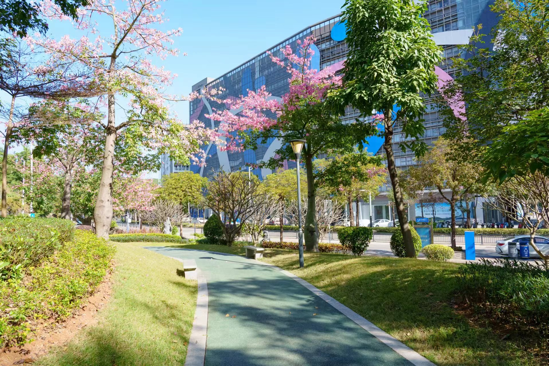 深圳龙华：市容品质焕新 建设宜居绿美大浪_fororder_公园