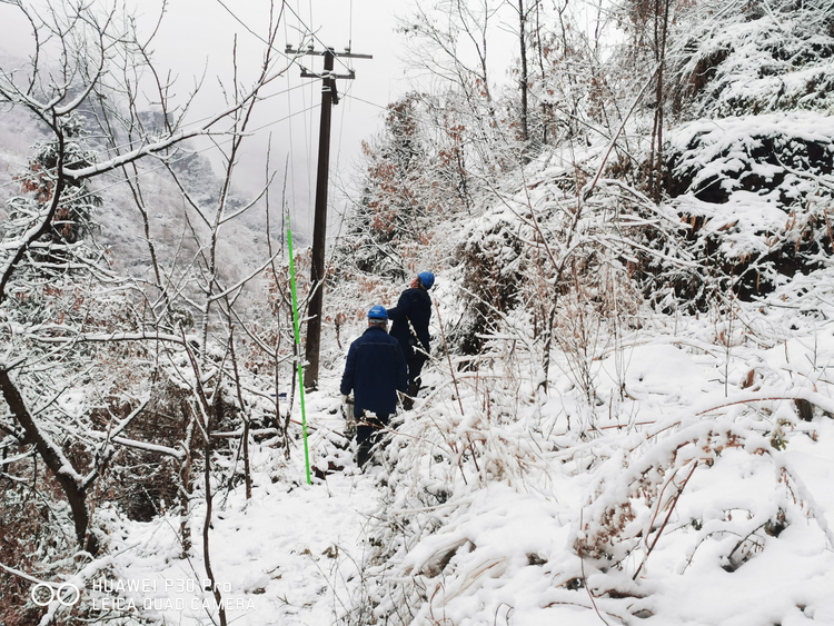 国网安康白河县供电公司：踏雪特巡战严寒 不畏风雪保供电_fororder_图片1