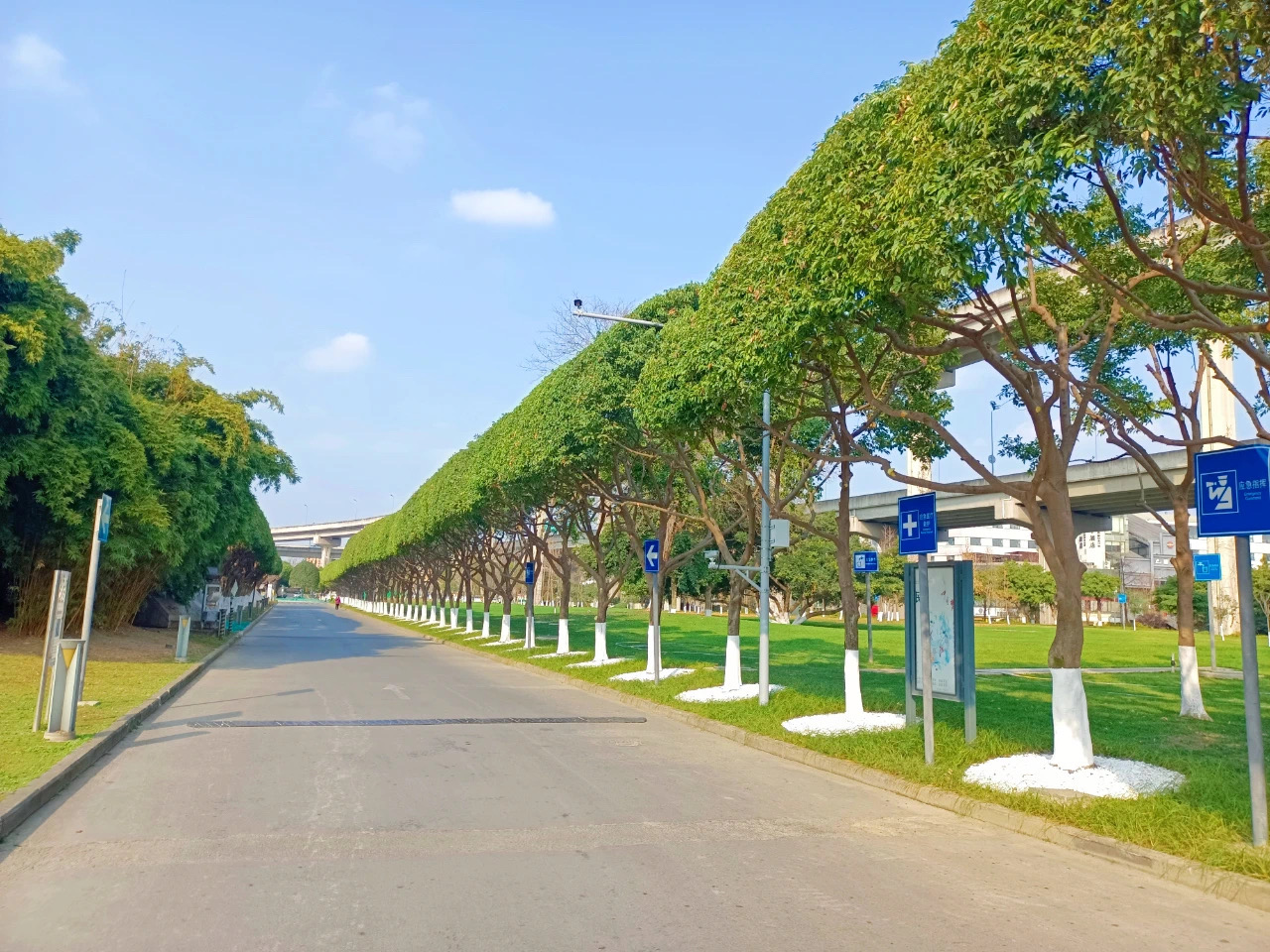 （转载）在成都街头 修剪出“绿色样板间”