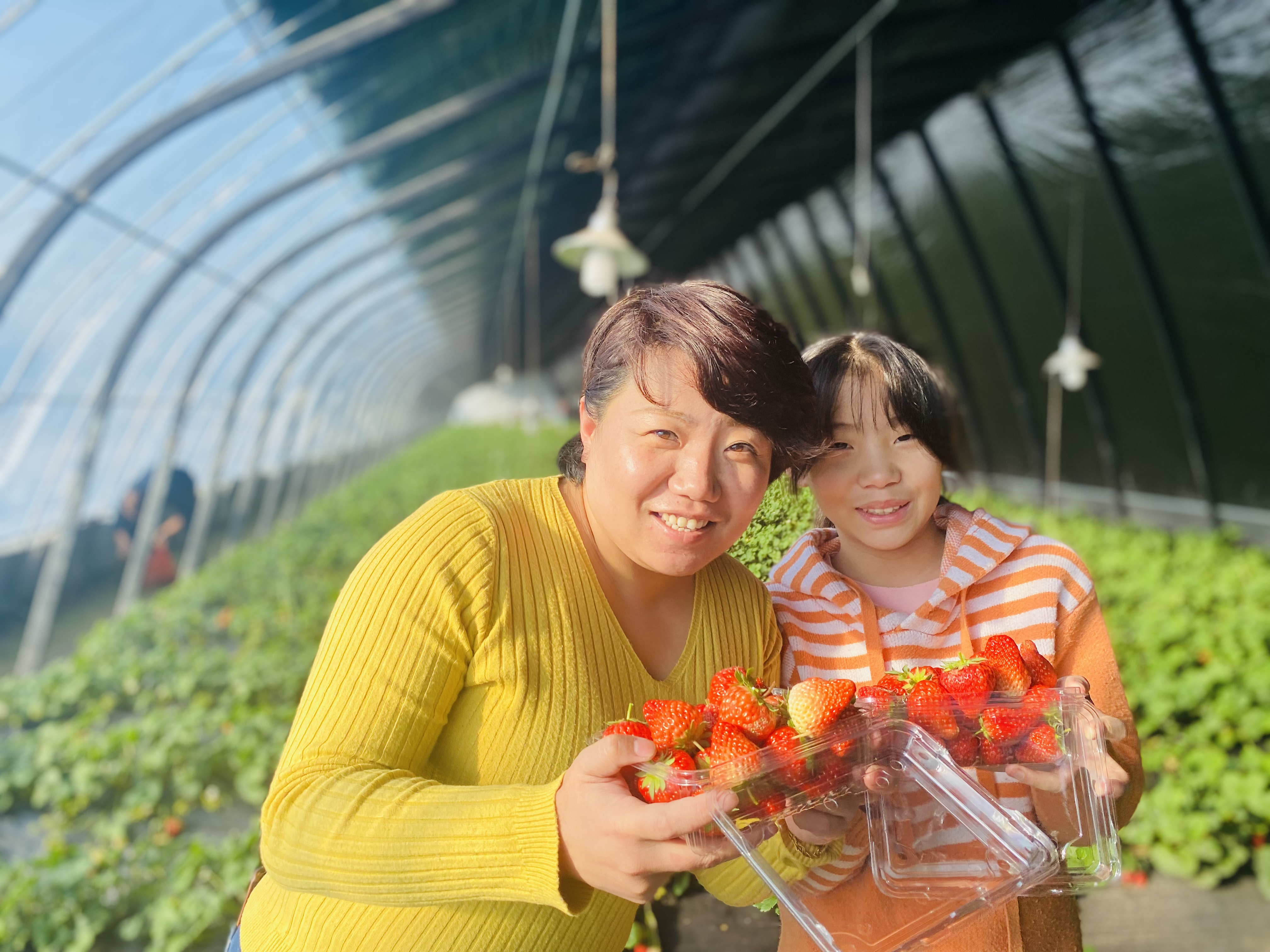 黑龙江兰西县：科技助力冬季地产果蔬丰收