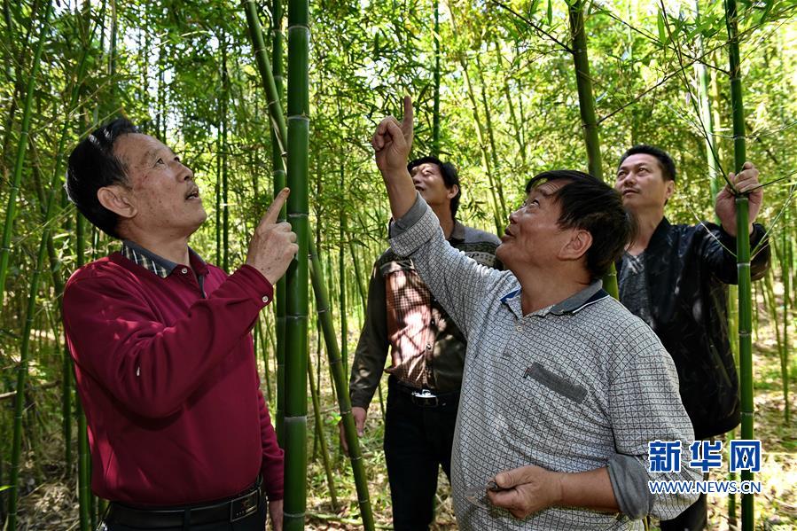 沧州东峰书记图片