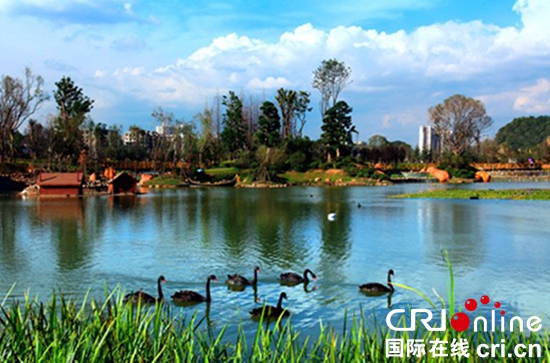 图片默认标题_fororder_guizhou3