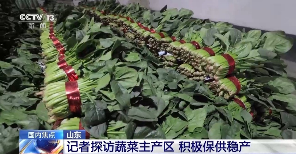 山东多地普降大雪 蔬菜如何做到价稳量足？