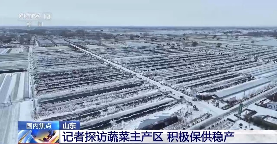 山东多地普降大雪 蔬菜如何做到价稳量足？