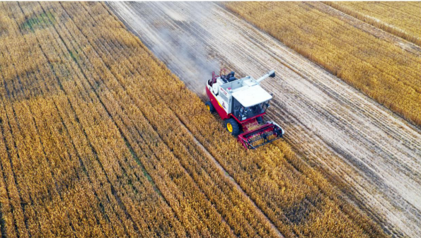 中化农业联手雷沃重工 合力助推农业新旧动能转换