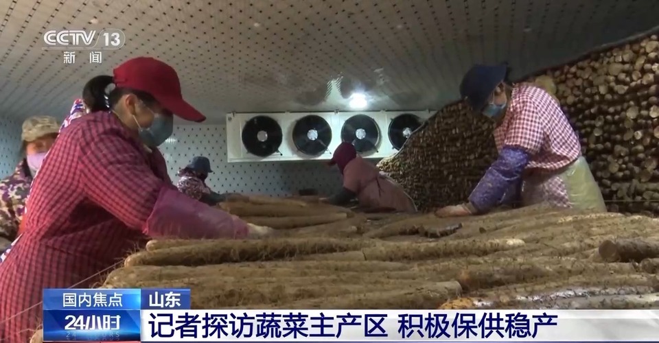 山东多地普降大雪 蔬菜如何做到价稳量足？