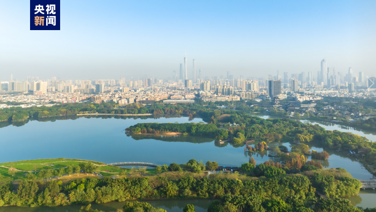 写意春天里 湾区花正开
