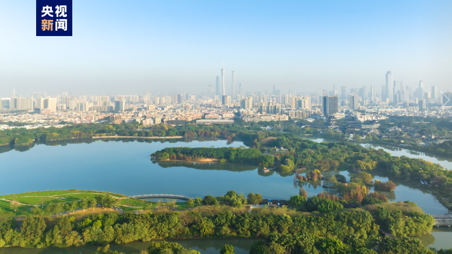 写意春天里 湾区花正开
