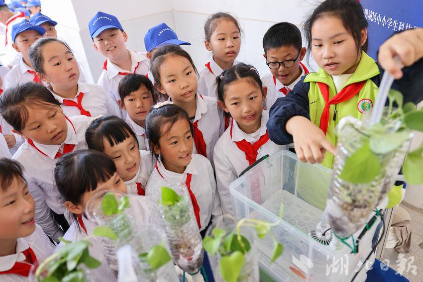 襄阳市新华路小学被确定为全国首批科学教育实验校